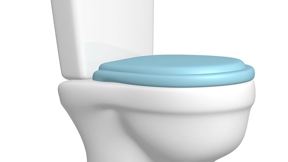 智慧厕所具有智能引导和自动维护功能的吗？